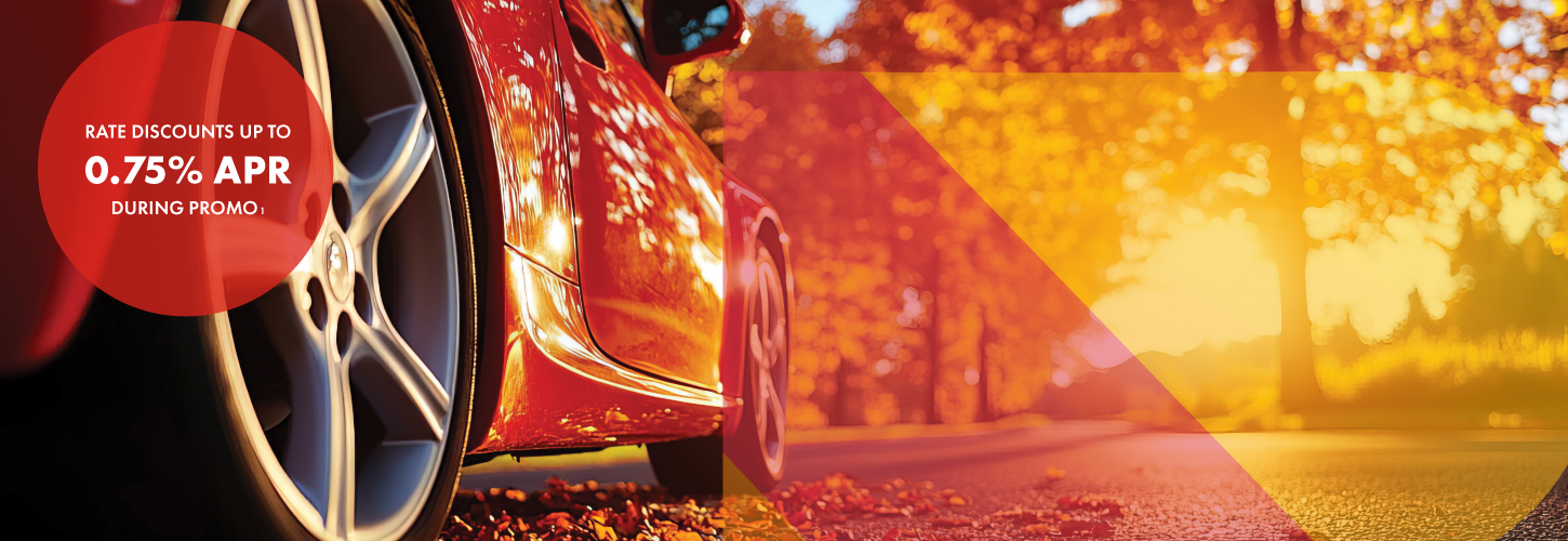 side of car driving in autumn leaves