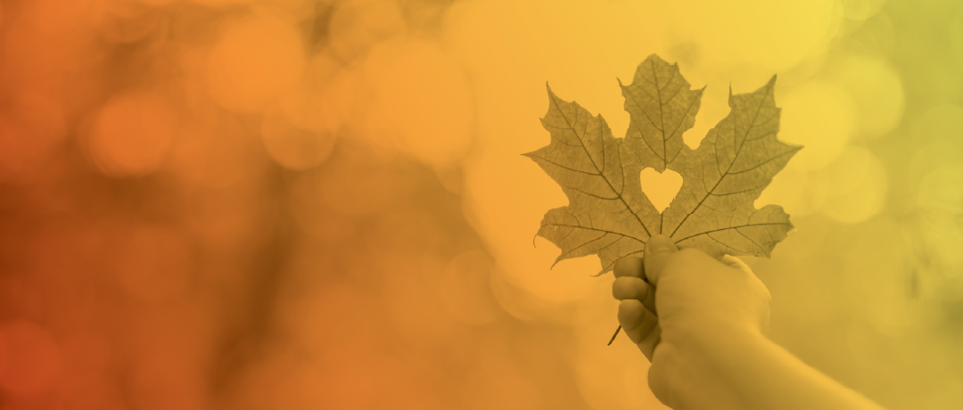 leaf with heart cut out of it